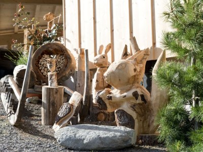 Apartment Ferienwohnung Alpbach - Outdoor photo 34