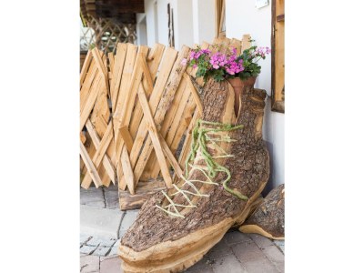 Apartment Ferienwohnung Alpbach - Outdoor photo 38