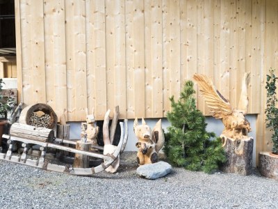 Apartment Ferienwohnung Alpbach - Outdoor photo 42