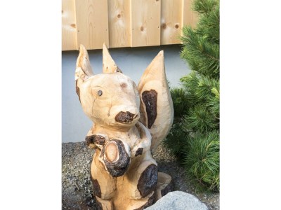 Apartment Ferienwohnung Alpbach - Outdoor photo 43