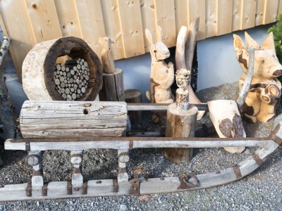 Apartment Ferienwohnung Alpbach - Outdoor photo 44