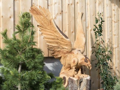 Apartment Ferienwohnung Galtenberg a - Outdoor photo 31