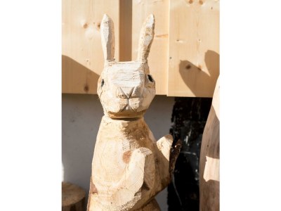 Apartment Ferienwohnung Galtenberg a - Outdoor photo 33