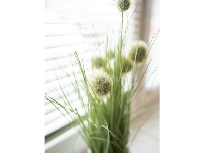 Apartment Appartement/Fewo, Dusche, WC, 5 Schlafräumen - Outdoor photo 27