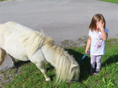 Apartment Ferienwohnung Oberklamm - Outdoor photo 16