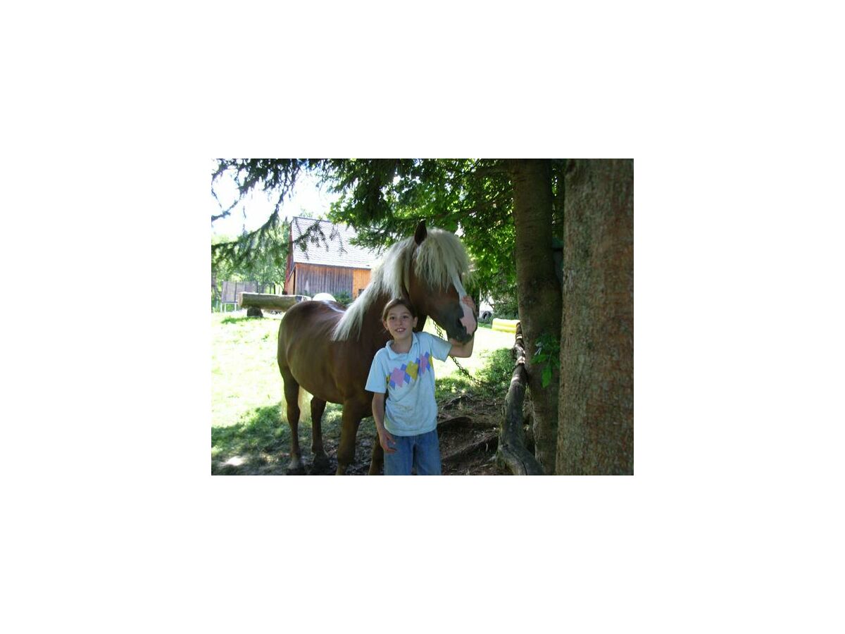 Apartment Apartment 80m²/2 Schlafräume/Dusche, WC - Outdoor photo 4