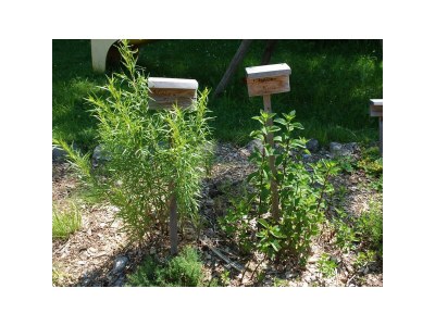 Apartment Apartment 80m²/2 Schlafräume/Dusche, WC - Outdoor photo 12