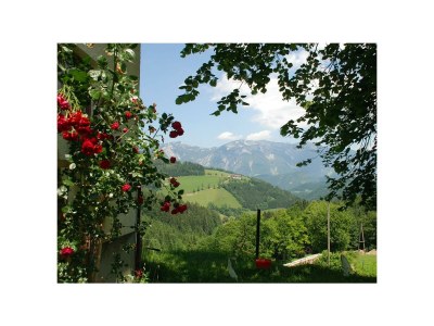 Apartment Apartment 80m²/2 Schlafräume/Dusche, WC - Outdoor photo 23