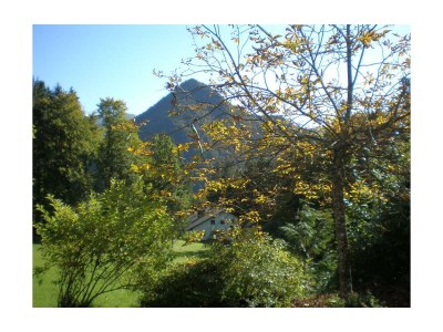 Apartment Apartment "Rosenbalkon" - Outdoor photo 7