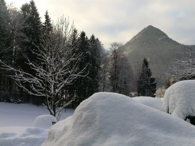 Apartment Apartment "Rosenbalkon" - Outdoor photo 36