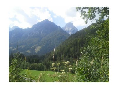 Apartment Apartment "Rosenbalkon" - Outdoor photo 39