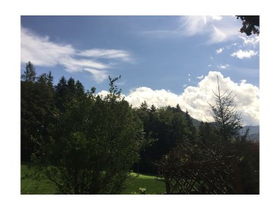 Apartment Apartment "Rosenbalkon" - Outdoor photo 46