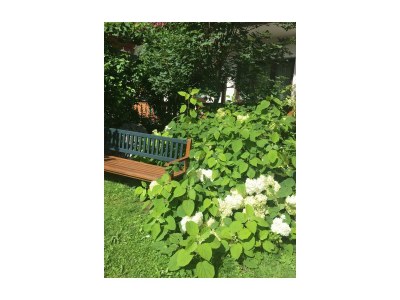 Apartment Apartment "Rosenbalkon" - Outdoor photo 47