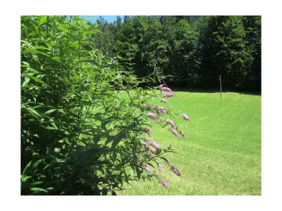 Holiday apartment Dusche, WC, 2 Schlafräume - Outdoor photo 10