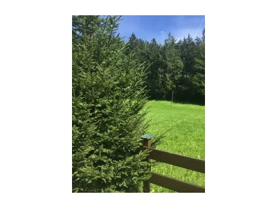 Holiday apartment Dusche, WC, 2 Schlafräume - Outdoor photo 17