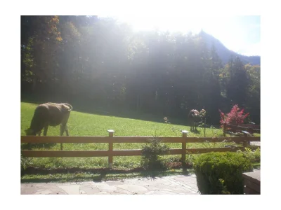 Holiday apartment Dusche, WC, 2 Schlafräume - Outdoor photo 27