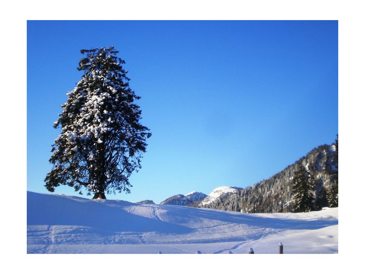 Apartment Ferienwohnung Ringelblume/2 Schlafräume/Dusche, WC - Outdoor photo 4