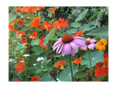 Apartment Ferienwohnung Ringelblume/2 Schlafräume/Dusche, WC - Outdoor photo 3