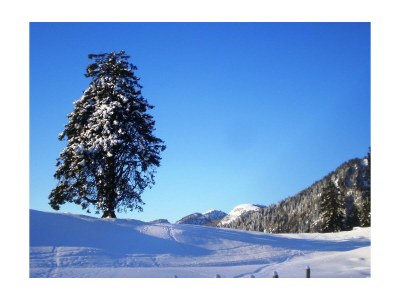 Apartment Ferienwohnung Ringelblume/2 Schlafräume/Dusche, WC - Outdoor photo 4