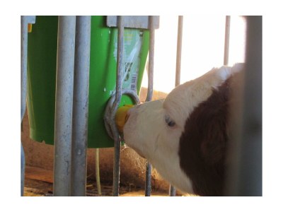 Apartment Ferienwohnung Ringelblume/2 Schlafräume/Dusche, WC - Outdoor photo 27