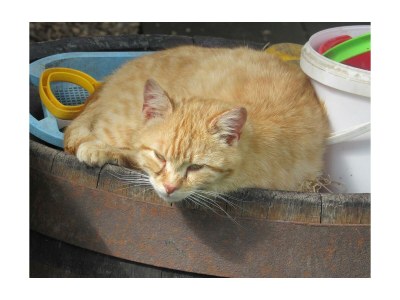 Apartment Ferienwohnung Ringelblume/2 Schlafräume/Dusche, WC - Outdoor photo 30