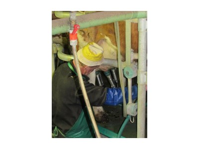 Apartment Ferienwohnung Ringelblume/2 Schlafräume/Dusche, WC - Outdoor photo 33