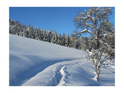 Apartment Ferienwohnung Ringelblume/2 Schlafräume/Dusche, WC - Outdoor photo 37