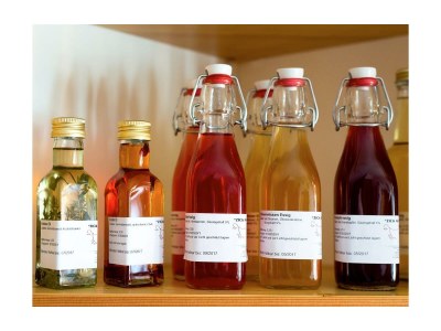 Apartment Ferienwohnung Ringelblume/2 Schlafräume/Dusche, WC - Outdoor photo 44