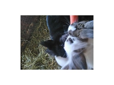 Apartment Ferienwohnung Ringelblume/2 Schlafräume/Dusche, WC - Outdoor photo 49