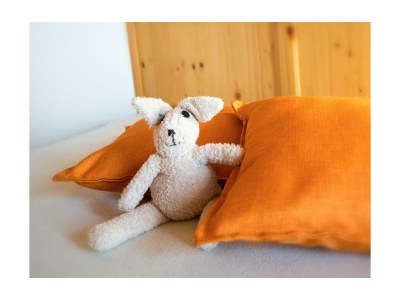 Apartment Ferienwohnung Ringelblume/2 Schlafräume/Dusche, WC - Features photo 65