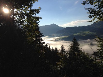 Apartment in the hotel & apartments Ilgerhof - Environment photo 29