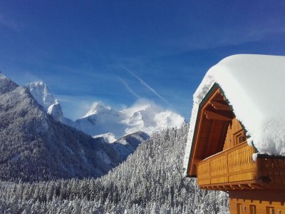 Apartment Mandl Alm - Outdoor photo 4