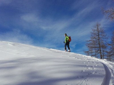 Apartment Mandl Alm - Outdoor photo 32