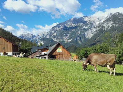 Apartment Apartement "Bären Alm", 2 Schlafzimmer, Balkon - Features photo 51