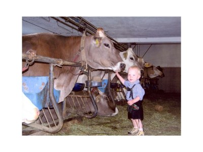 Apartment Appartement "Hössalm", 2 Pers. Terrasse - Outdoor photo 18