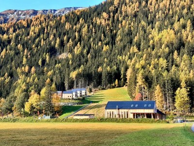 Apartment Chalet Ankogel ohne Steinbadewanne - Features photo 68