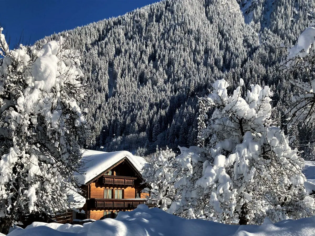 Apartment Apartment Edelweiss II - Outdoor photo 5