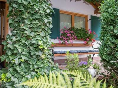 Apartment Apartment Edelweiss II - Outdoor photo 7