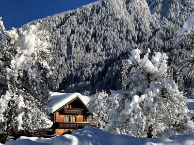 Apartment Apartment Edelweiss I - Outdoor photo 5