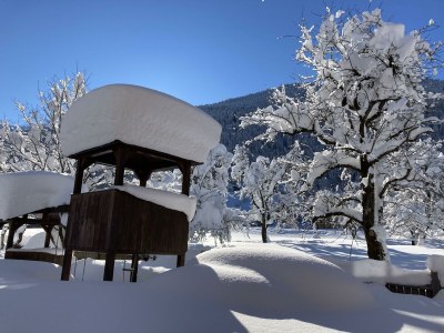 Apartment Apartment Edelweiss I - Outdoor photo 6