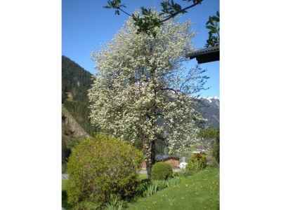 Apartment Haus Gant Wohnung 2 - Outdoor photo 14