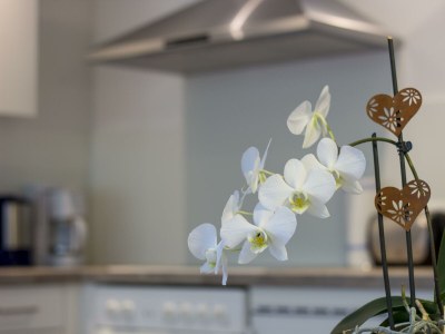 Apartment Haus Gant Wohnung 2 - Features photo 25