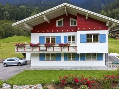 Apartment Appartement/1 Schlafraum/1 Wohnschlafraum in Silbertal - Apartment