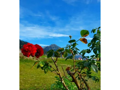 Apartment Apartment/2 Schlafräume/Dusche, WC - Outdoor photo 16