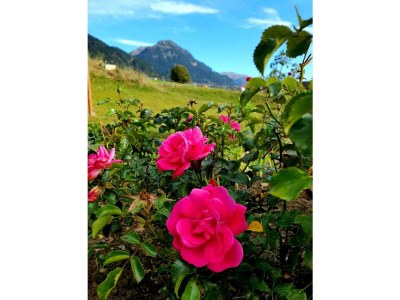 Apartment Apartment/2 Schlafräume/Dusche, WC - Outdoor photo 18