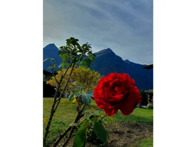 Apartment Apartment/2 Schlafräume/Dusche, WC - Outdoor photo 19