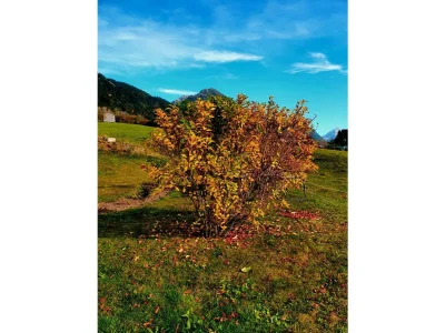 Apartment Apartment/2 Schlafräume/Dusche, WC - Outdoor photo 24