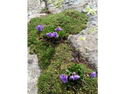 Apartment Appartement/Fewo Zwölfer - Outdoor photo 21