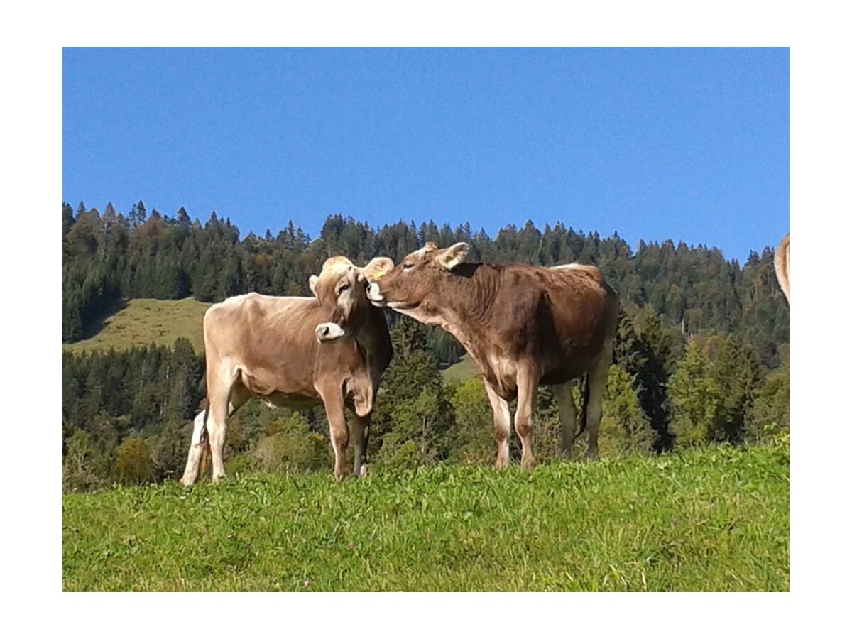 Holiday room Staufen mit franz Bett - Outdoor photo 5