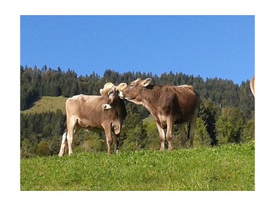 Holiday room Staufen mit franz Bett - Outdoor photo 5